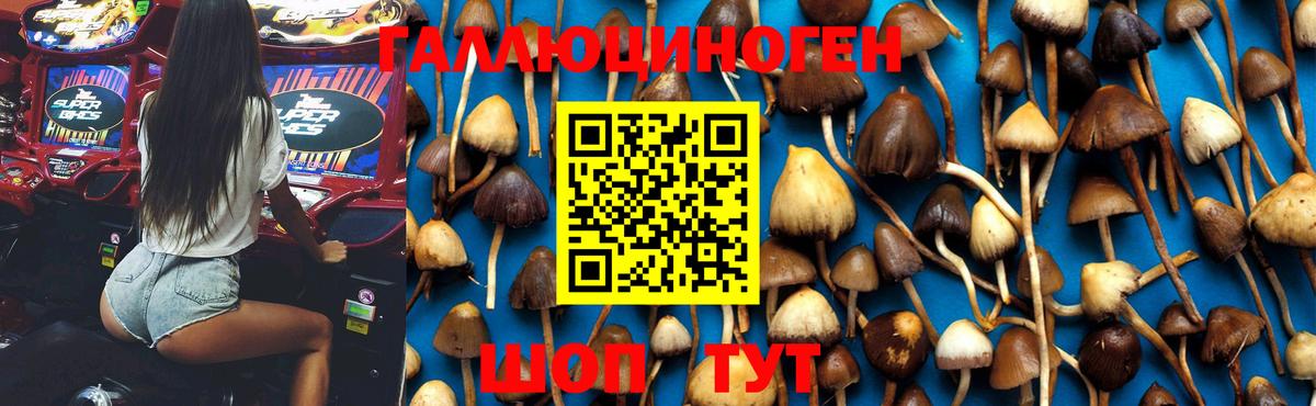 Дубна  Галлюциногенные грибы Magic Shrooms  Вход с VPN 