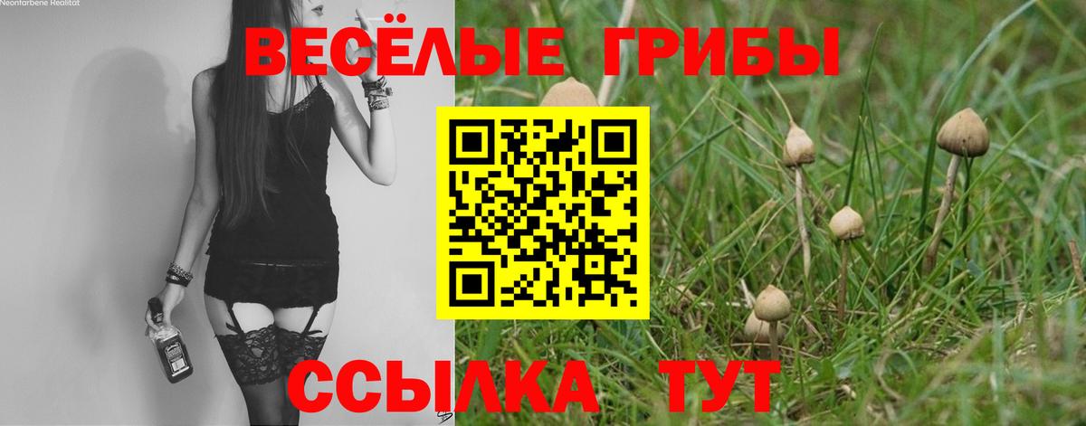 Галлюциногенные грибы мицелий Дубна